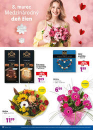 22. stránka Lidl letáku