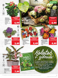 5. stránka Kaufland letáku