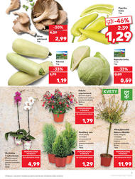 7. stránka Kaufland letáku