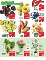 42. stránka Kaufland letáku