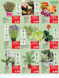 5. stránka Kaufland letáku