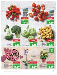 17. stránka Kaufland letáku