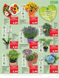 5. stránka Kaufland letáku