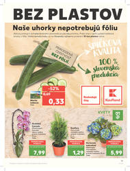 19. stránka Kaufland letáku