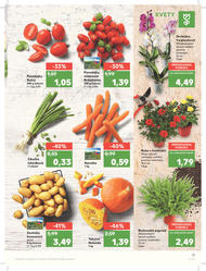 13. stránka Kaufland letáku