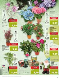 11. stránka Kaufland letáku