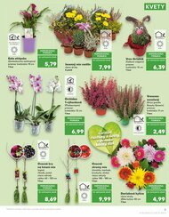 5. stránka Kaufland letáku