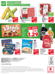 48. stránka Kaufland letáku