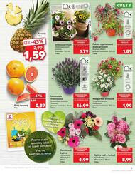 5. stránka Kaufland letáku
