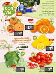 2. stránka Billa letáku