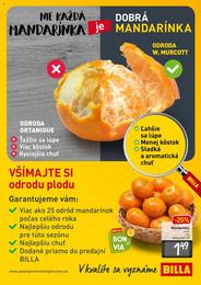2. stránka Billa letáku