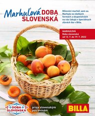 26. stránka Billa letáku