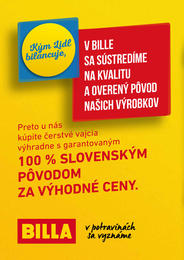 2. stránka Billa letáku