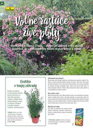 28. stránka Hornbach letáku