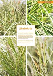 31. stránka Hornbach letáku