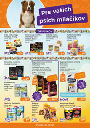 5. stránka Pet Center letáku