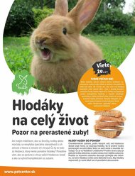 4. stránka Pet Center letáku