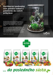 12. stránka Pet Center letáku