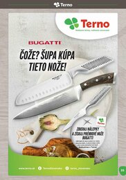 35. stránka Terno letáku