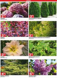 46. stránka Merkury Market letáku