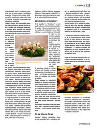 25. stránka Kinekus letáku