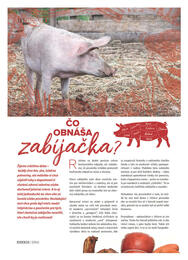 18. stránka Kinekus letáku