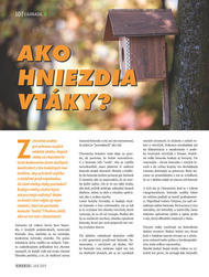 10. stránka Kinekus letáku