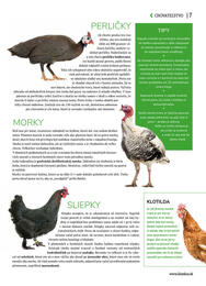 7. stránka Kinekus letáku