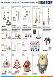 13. stránka Kinekus letáku