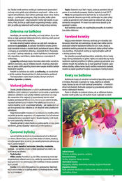 21. stránka Fresh letáku