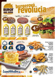 4. stránka Fega Food letáku