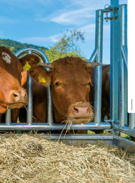 286. stránka Patura letáku