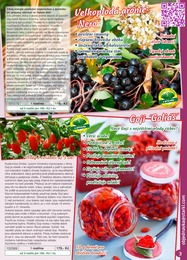 3. stránka Starkl letáku