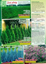 38. stránka Starkl letáku