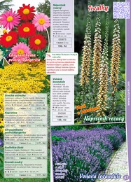 47. stránka Starkl letáku