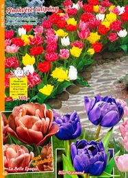 66. stránka Starkl letáku