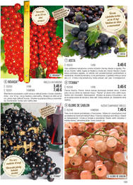 123. stránka Starkl letáku