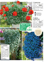 19. stránka Starkl letáku