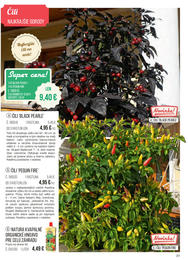 31. stránka Starkl letáku