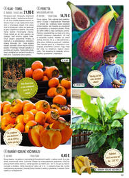 33. stránka Starkl letáku