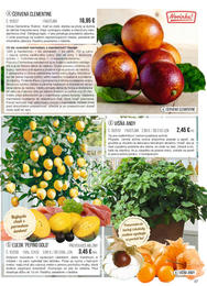 37. stránka Starkl letáku