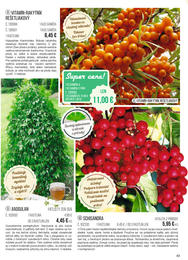 43. stránka Starkl letáku