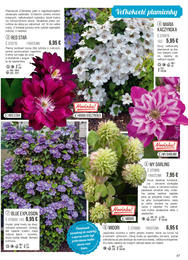 47. stránka Starkl letáku