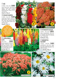 59. stránka Starkl letáku