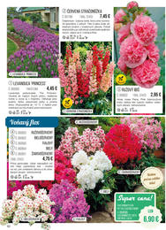 62. stránka Starkl letáku