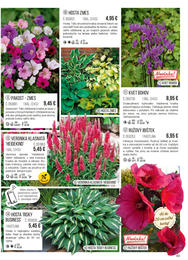 63. stránka Starkl letáku