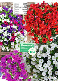 7. stránka Starkl letáku