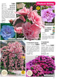 81. stránka Starkl letáku