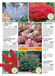 84. stránka Starkl letáku