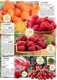 13. stránka Starkl letáku